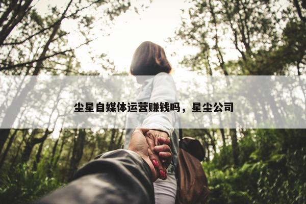 尘星自媒体运营赚钱吗，星尘公司