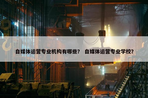 自媒体运营专业机构有哪些？ 自媒体运营专业学校？