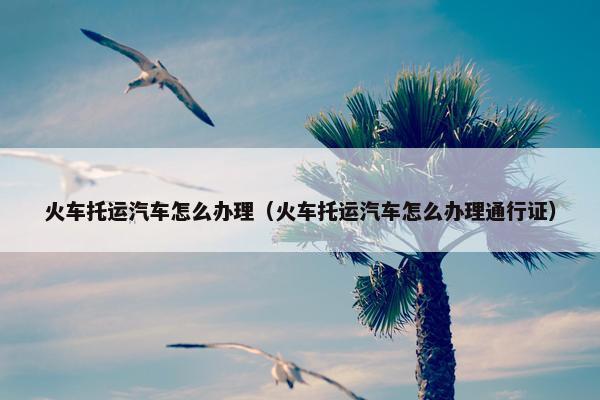 火车托运汽车怎么办理（火车托运汽车怎么办理通行证）
