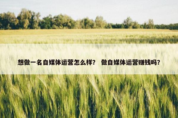 想做一名自媒体运营怎么样？ 做自媒体运营赚钱吗？