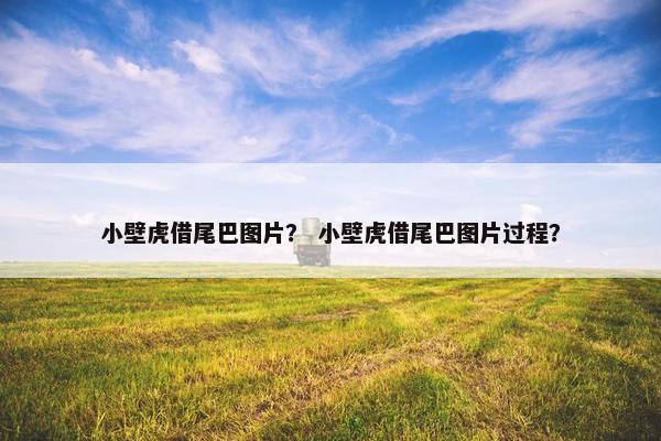 小壁虎借尾巴图片？ 小壁虎借尾巴图片过程？