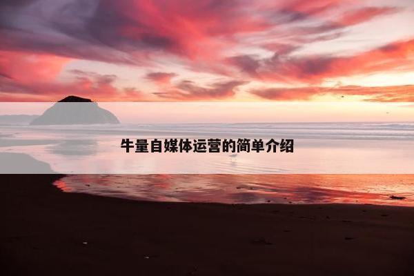 牛量自媒体运营的简单介绍
