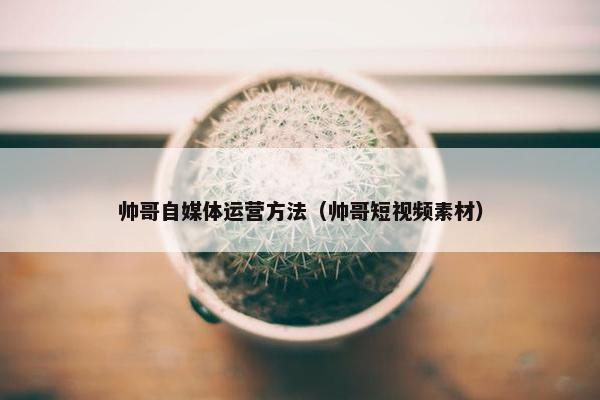 帅哥自媒体运营方法（帅哥短视频素材）