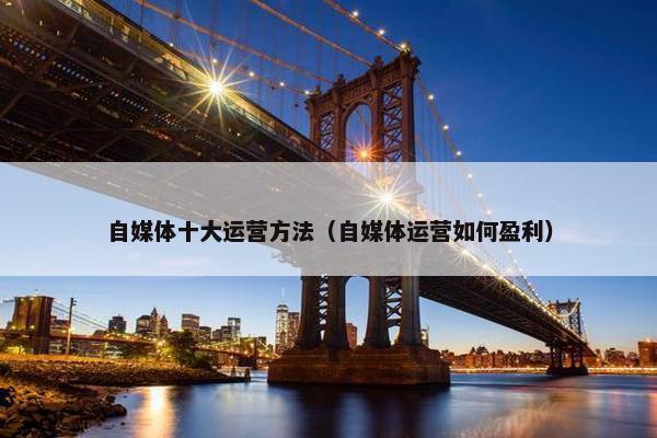 自媒体十大运营方法（自媒体运营如何盈利）