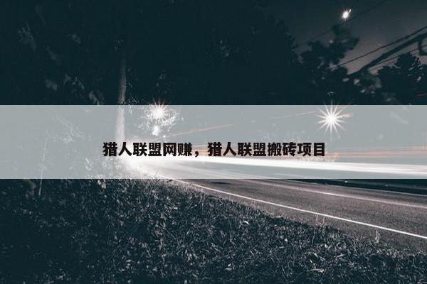 猎人联盟网赚，猎人联盟搬砖项目