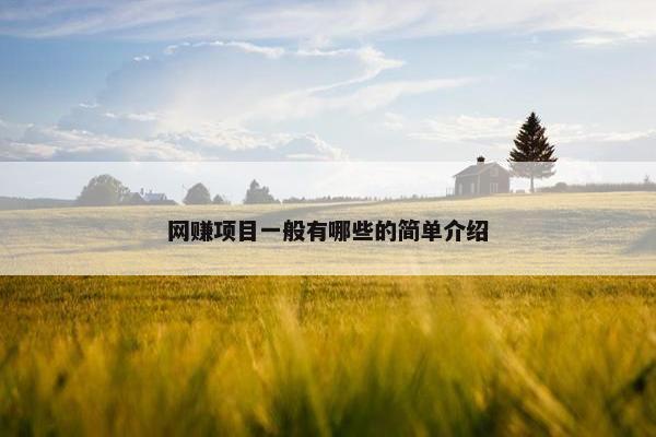 网赚项目一般有哪些的简单介绍