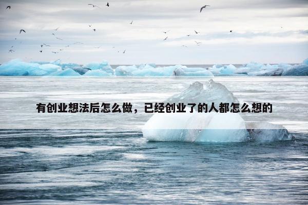 有创业想法后怎么做，已经创业了的人都怎么想的