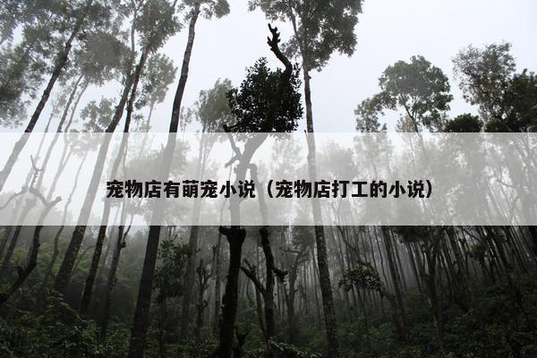 宠物店有萌宠小说（宠物店打工的小说）