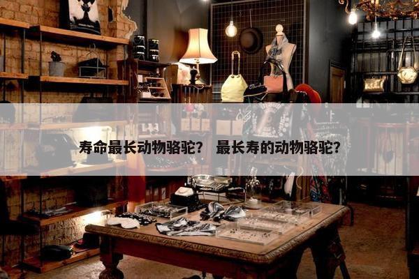 寿命最长动物骆驼？ 最长寿的动物骆驼？