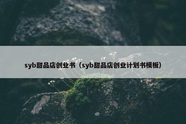 syb甜品店创业书（syb甜品店创业计划书模板）