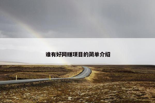 谁有好网赚项目的简单介绍