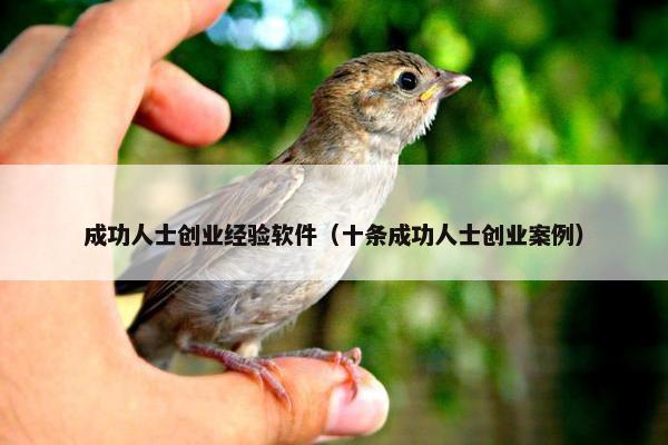 成功人士创业经验软件（十条成功人士创业案例）