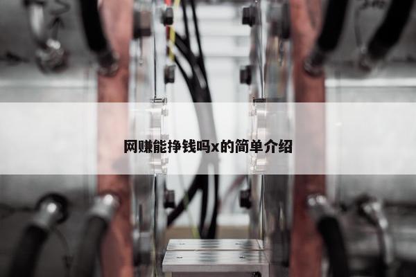 网赚能挣钱吗x的简单介绍