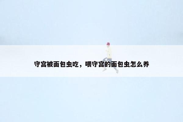 守宫被面包虫吃，喂守宫的面包虫怎么养