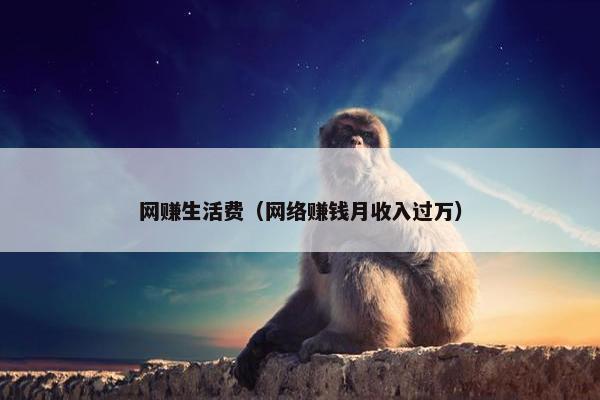 网赚生活费（网络赚钱月收入过万）