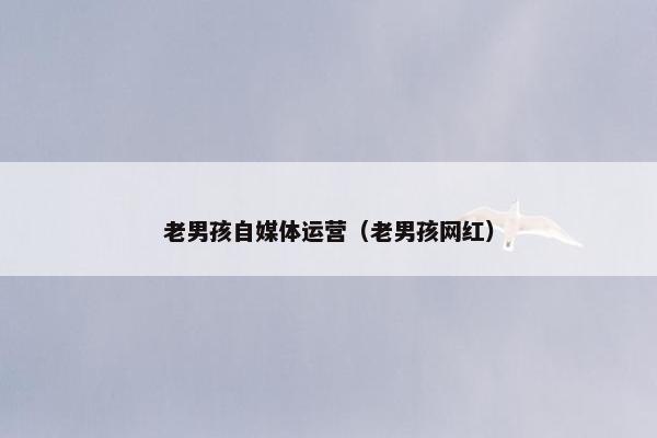 老男孩自媒体运营（老男孩网红）