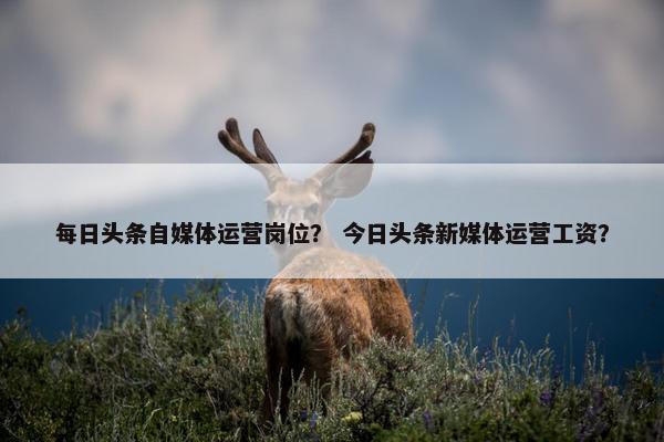 每日头条自媒体运营岗位？ 今日头条新媒体运营工资？