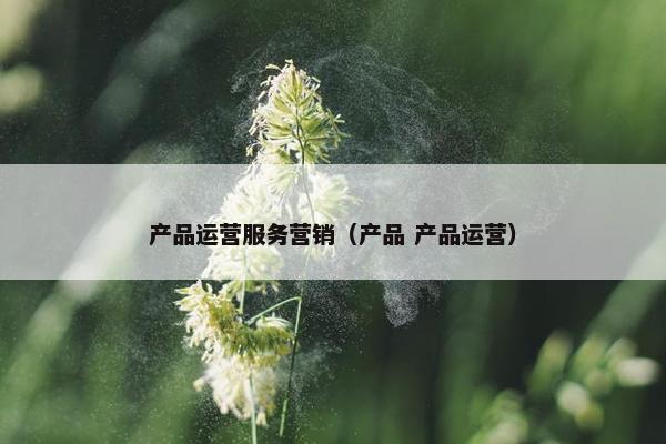 产品运营服务营销（产品 产品运营）
