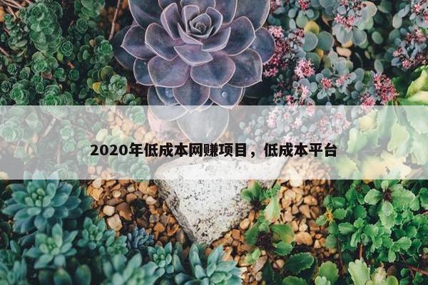 2020年低成本网赚项目，低成本平台