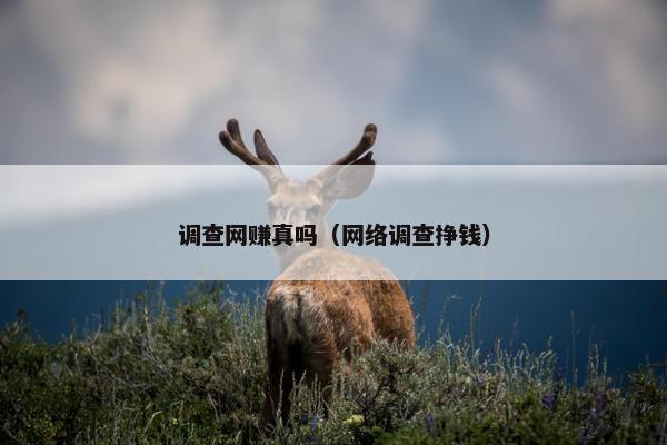 调查网赚真吗（网络调查挣钱）