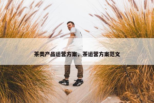 茶类产品运营方案，茶运营方案范文