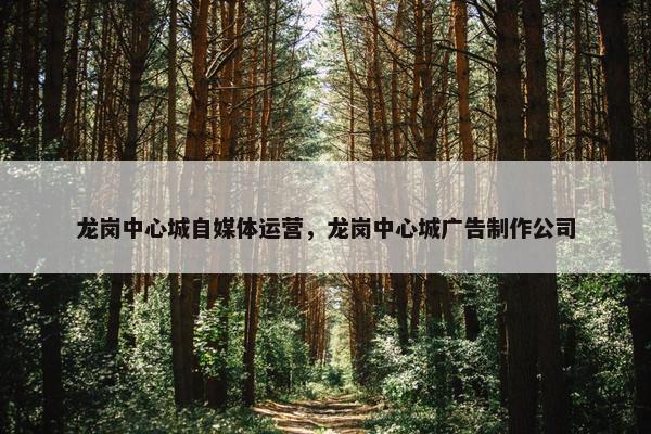 龙岗中心城自媒体运营，龙岗中心城广告制作公司