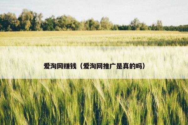 爱淘网赚钱（爱淘网推广是真的吗）