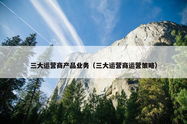 三大运营商产品业务（三大运营商运营策略）