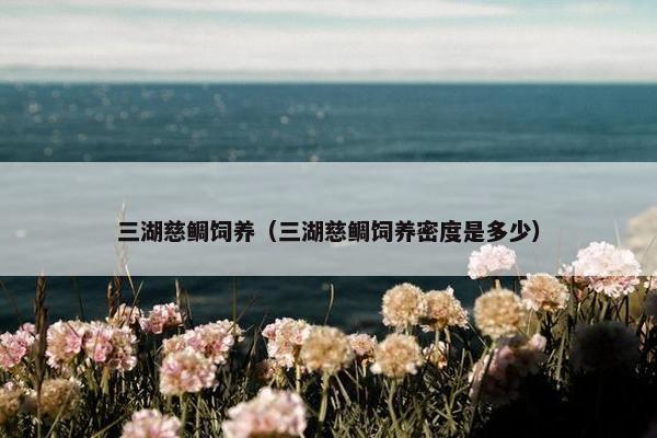 三湖慈鲷饲养（三湖慈鲷饲养密度是多少）