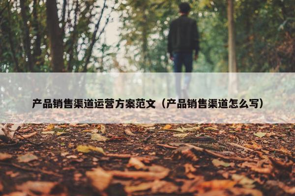 产品销售渠道运营方案范文（产品销售渠道怎么写）