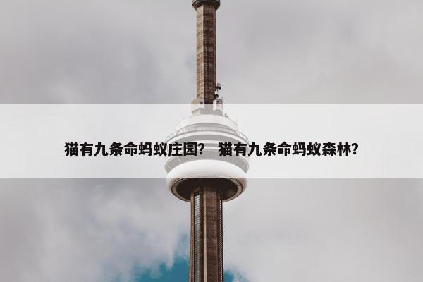 猫有九条命蚂蚁庄园？ 猫有九条命蚂蚁森林？