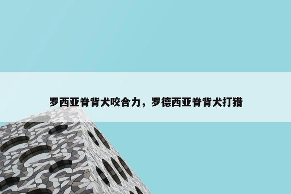 罗西亚脊背犬咬合力，罗德西亚脊背犬打猎