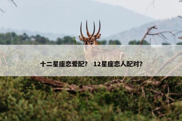 十二星座恋爱配？ 12星座恋人配对？