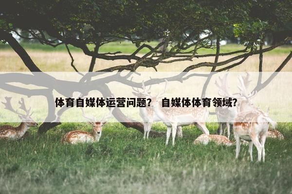 体育自媒体运营问题？ 自媒体体育领域？