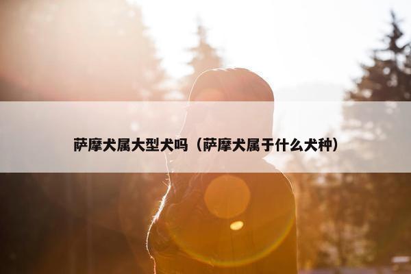 萨摩犬属大型犬吗（萨摩犬属于什么犬种）