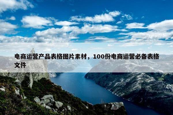 电商运营产品表格图片素材，100份电商运营必备表格文件