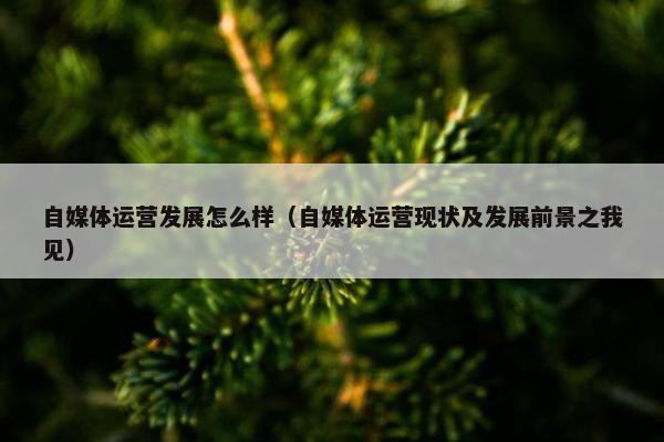 自媒体运营发展怎么样（自媒体运营现状及发展前景之我见）