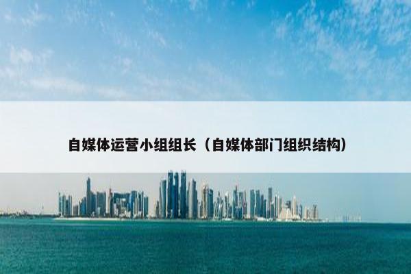 自媒体运营小组组长（自媒体部门组织结构）