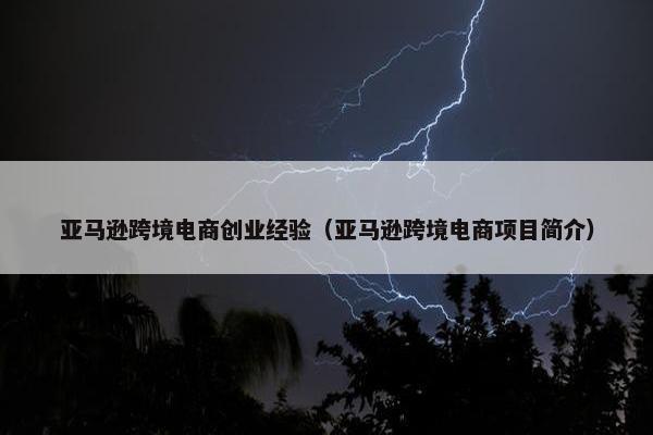 亚马逊跨境电商创业经验（亚马逊跨境电商项目简介）