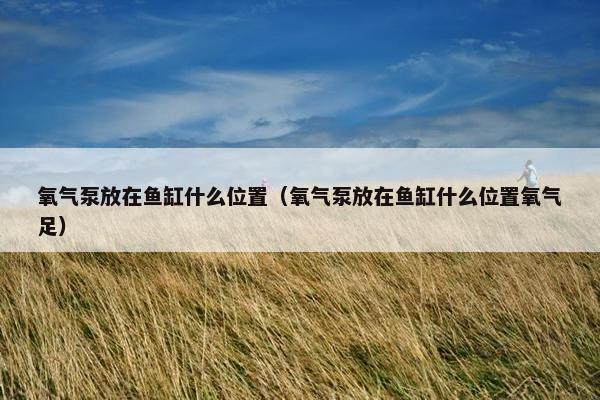氧气泵放在鱼缸什么位置（氧气泵放在鱼缸什么位置氧气足）
