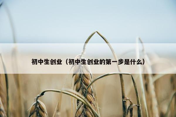 初中生创业（初中生创业的第一步是什么）
