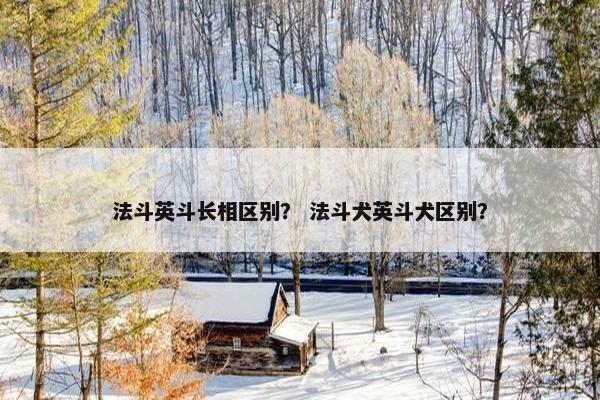 法斗英斗长相区别？ 法斗犬英斗犬区别？