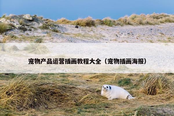 宠物产品运营插画教程大全（宠物插画海报）
