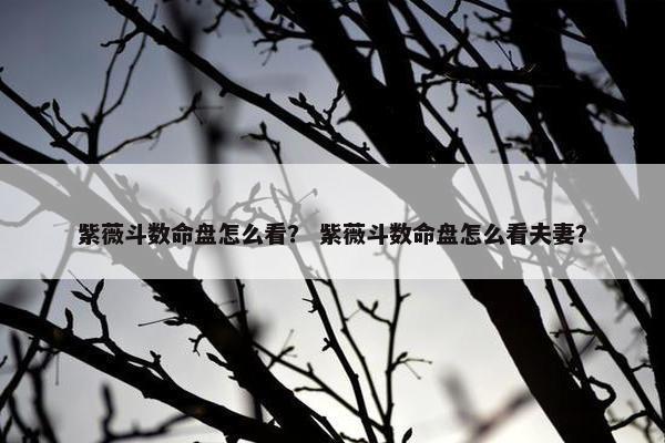 紫薇斗数命盘怎么看？ 紫薇斗数命盘怎么看夫妻？