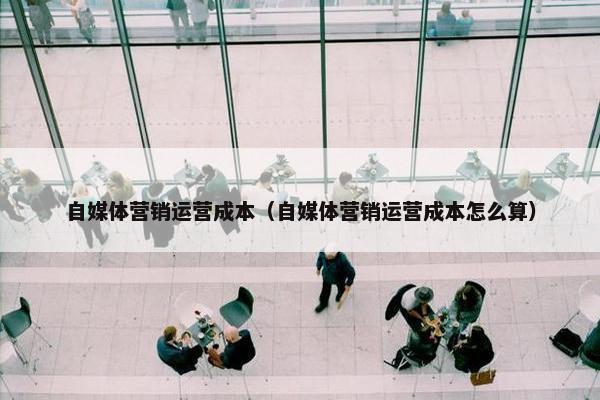 自媒体营销运营成本（自媒体营销运营成本怎么算）