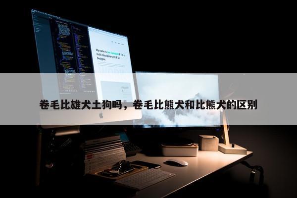卷毛比雄犬土狗吗，卷毛比熊犬和比熊犬的区别