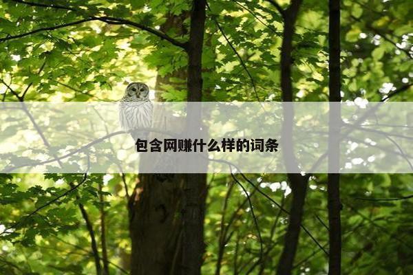 包含网赚什么样的词条