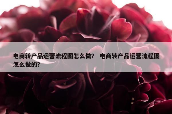 电商转产品运营流程图怎么做？ 电商转产品运营流程图怎么做的？