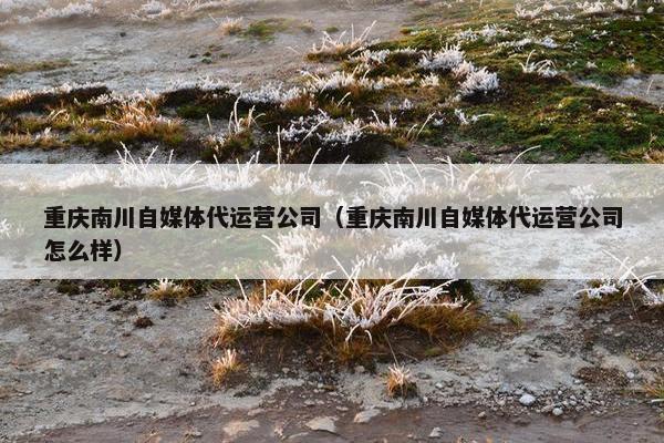 重庆南川自媒体代运营公司（重庆南川自媒体代运营公司怎么样）
