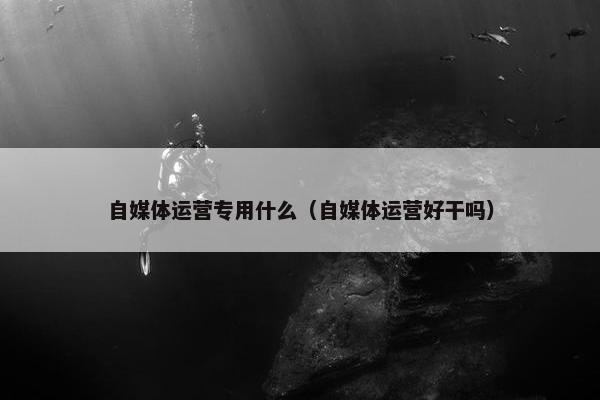 自媒体运营专用什么（自媒体运营好干吗）